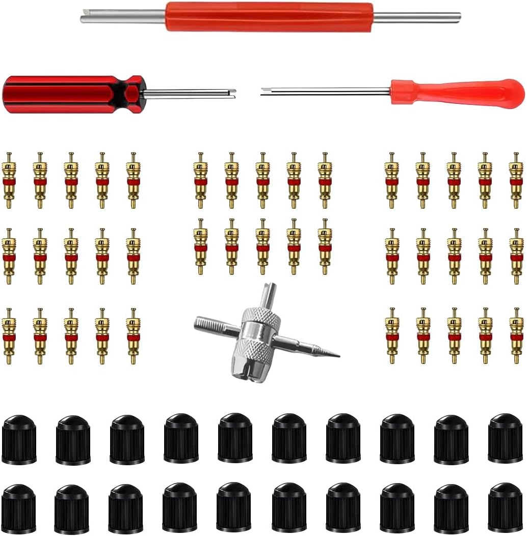 GLSOWEE Tire Valve Stem Puller Installer Tool Kit, 40Pcs Valve Cores & 20Pcs Valve Caps, 2Pcs Single Head Tire Valve Core Remover, 4-Way Valve Tool & Dual Head Puller