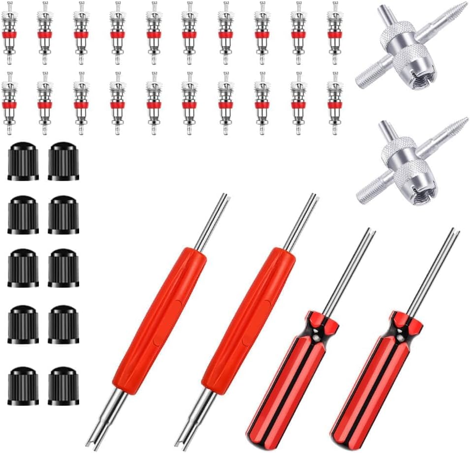 Riseuvo 36Pcs Tire Valve Stem Removal Tool Kit