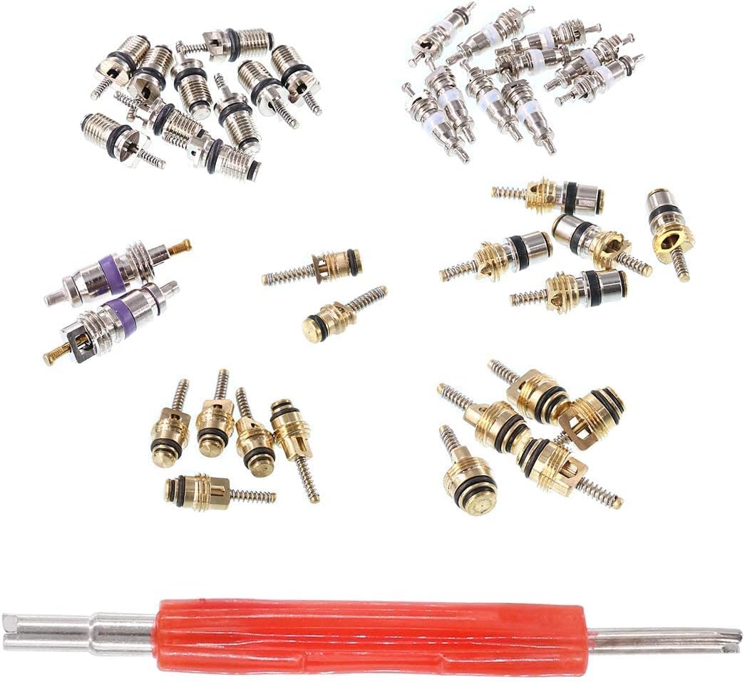 Swpeet 40Pcs Air Conditioning Valve Core Kit, A/C R12 R134a Refrigeration Tire Valve Stem Cores With Remover tool for Most car