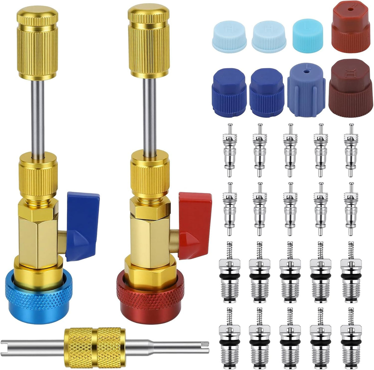 31 PCS R134A Valve Core Quick Remover Installer Tool Kit, High Low Pressure AC Valve Core Removal Tool, R134A Valve Core AC Service Port Cap Valve Stem for Refrigerant Air Conditioner System
