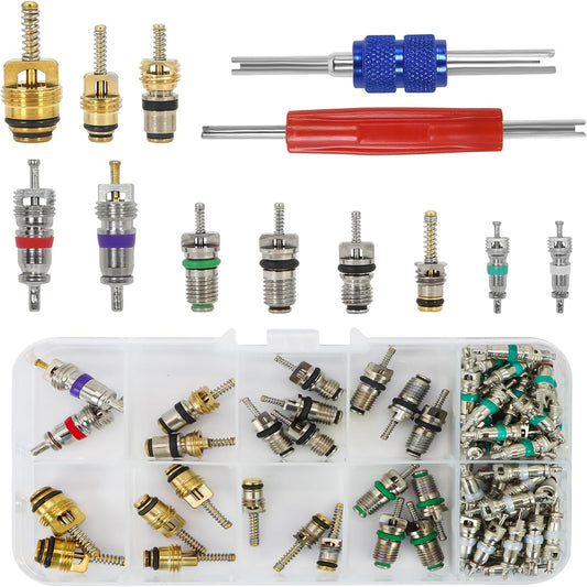 102Pcs Auto Air Conditioning Valve Core Accessories Kit