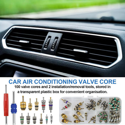 102Pcs Auto Air Conditioning Valve Core Accessories Kit