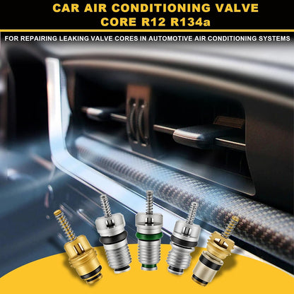 Siptenk 160PCS Car A/C Valve Cores, A/C R12 R134a Schrader Valve Kit