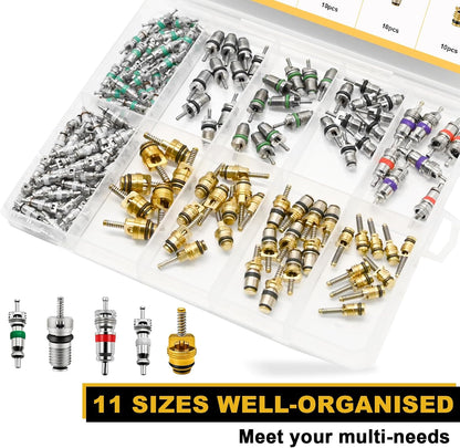 Siptenk 160PCS Car A/C Valve Cores, A/C R12 R134a Schrader Valve Kit