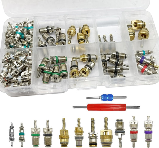 102Pcs Air Conditioning Valve Core Accessories Kit, A/C R12 R134a Refrigeration Tire Valve Stem with Double Head Dual Dismantling Remover Installer Tool Assortment Kit