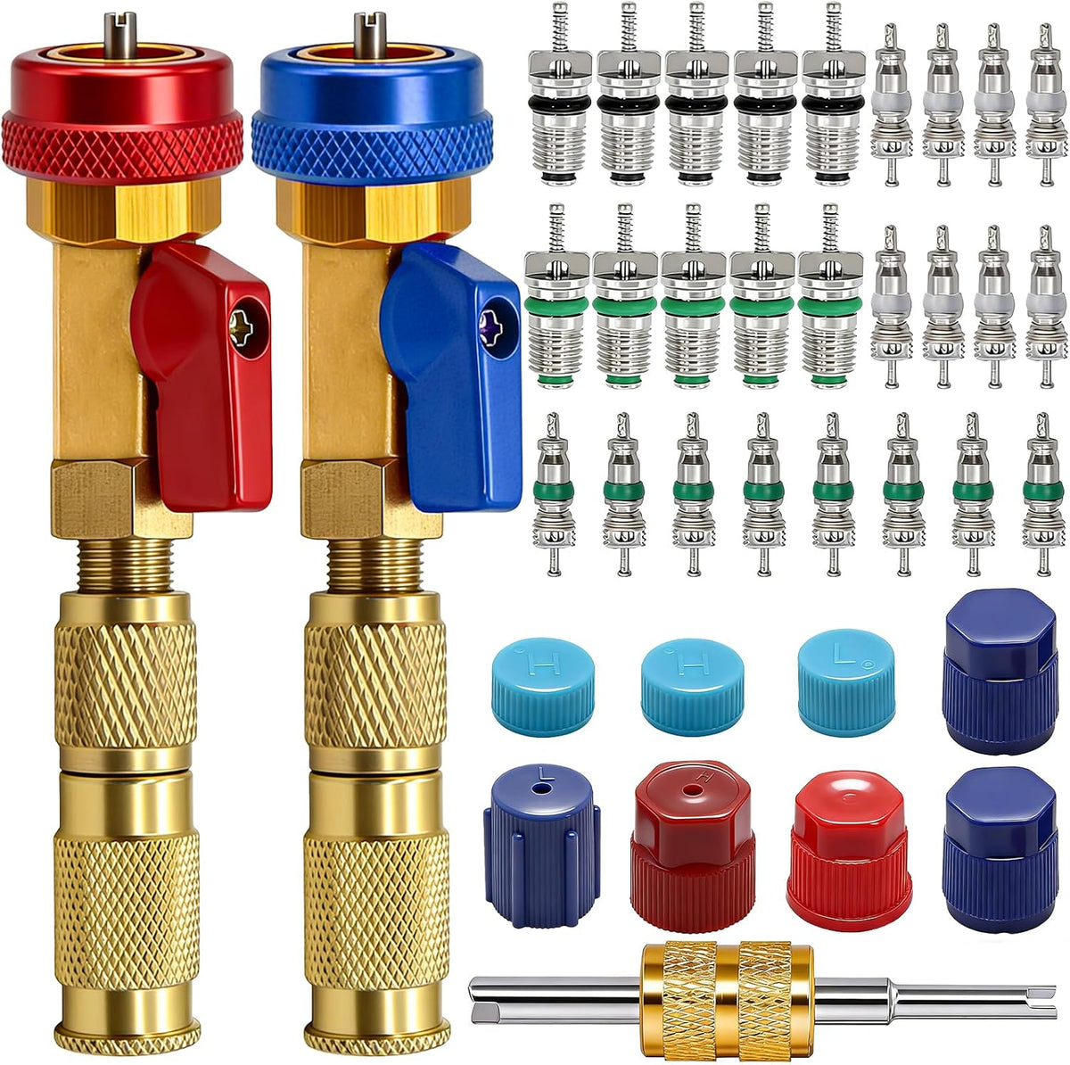 TWTADE R134A Valve Core Quick Remover Installer Tool Kit - High Low Pressure Car A/C Valve Core Removal Tool, Schrader Valve Stem Cores & Seal Caps for R12 R134a Refrigeration Air Conditioner System