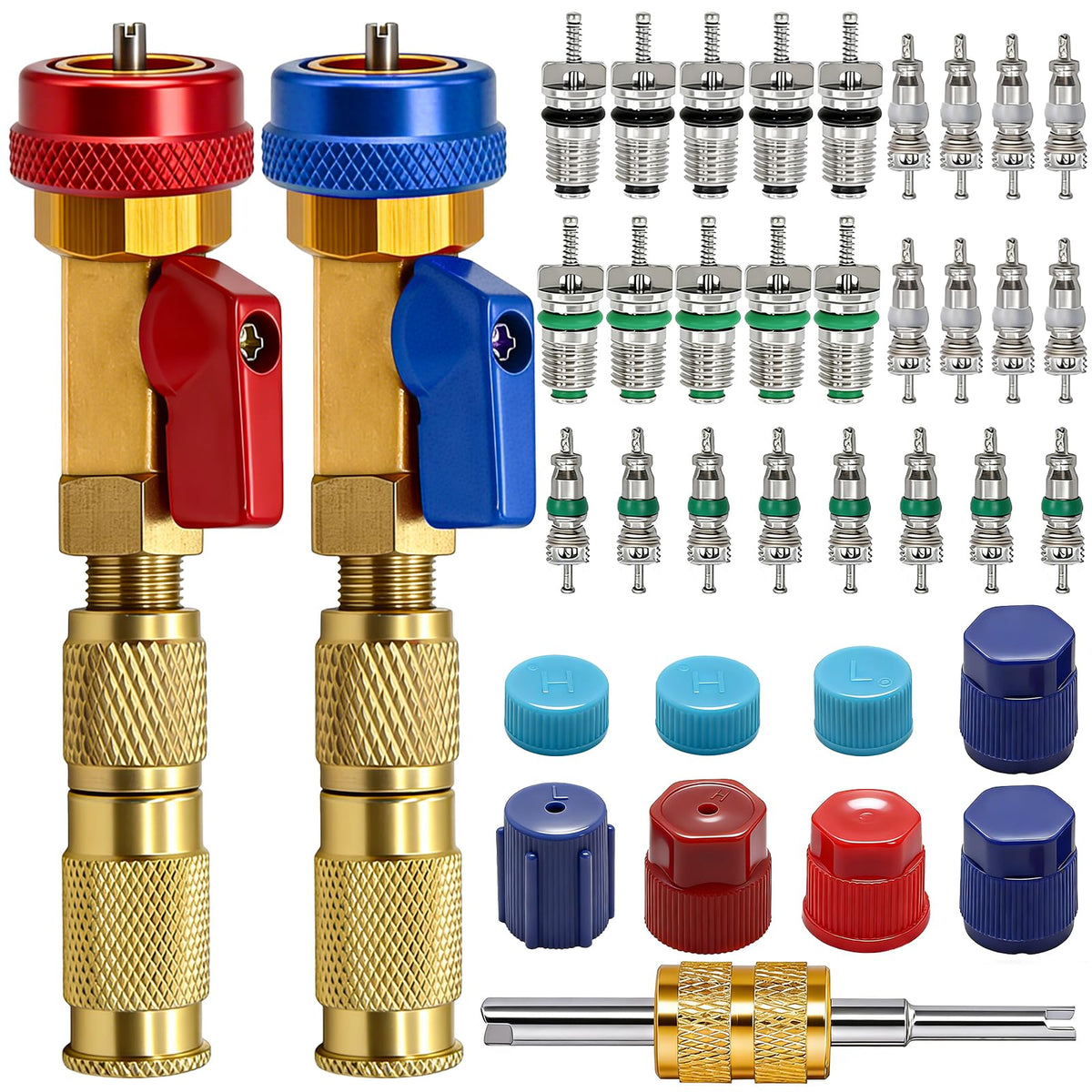 TWTADE R134A Valve Core Quick Remover Installer Tool Kit - High Low Pressure Car A/C Valve Core Removal Tool, Schrader Valve Stem Cores & Seal Caps for R12 R134a Refrigeration Air Conditioner System